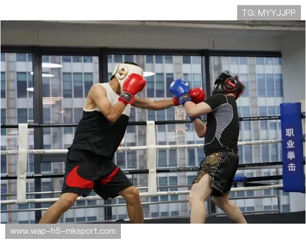 职业拳击训练营保持高对抗密度，节奏更接近比赛实战